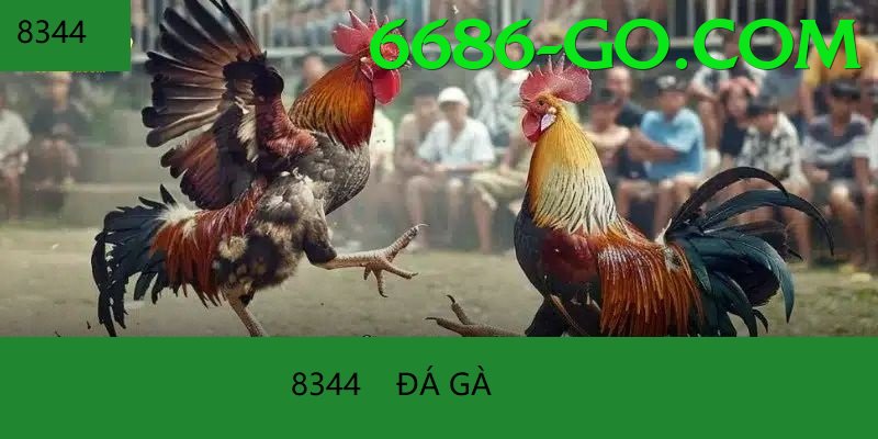 Trường Đấu Đá Gà Chuyên Nghiệp - Tin tức