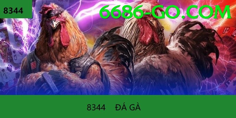 Đá Gà Trực Tiếp - 6686 - Trang chủ